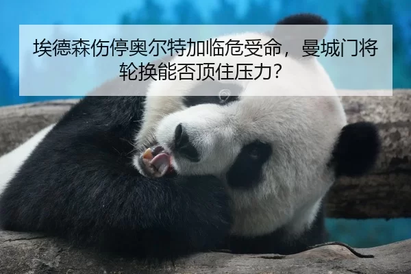 ai-de-sen-shang-ting-ao-er-te-jia-lin-wei-shou-ming-man-cheng-men-jiang-lun-huan-neng-fou-ding-zhu-ya-li-3-768.jpg