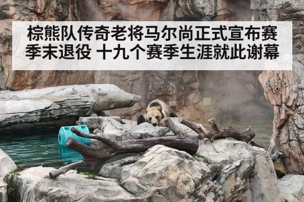 棕熊队传奇老将马尔尚正式宣布赛季末退役 十九个赛季生涯就此谢幕