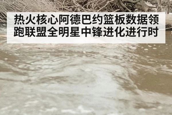 热火核心阿德巴约篮板数据领跑联盟全明星中锋进化进行时